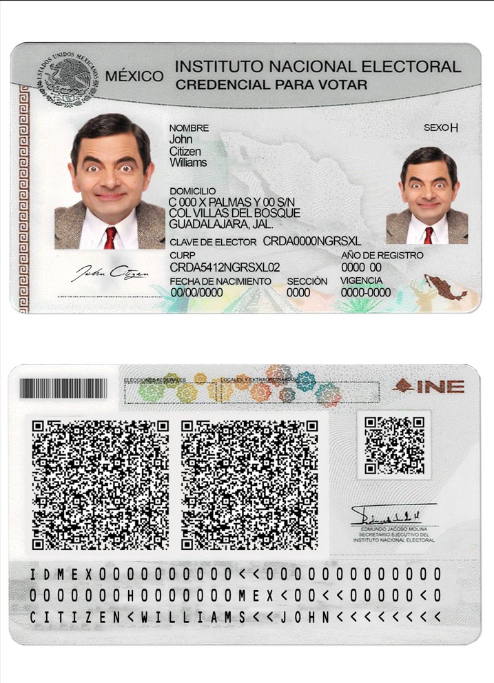 Mexico instituto nacional electoral